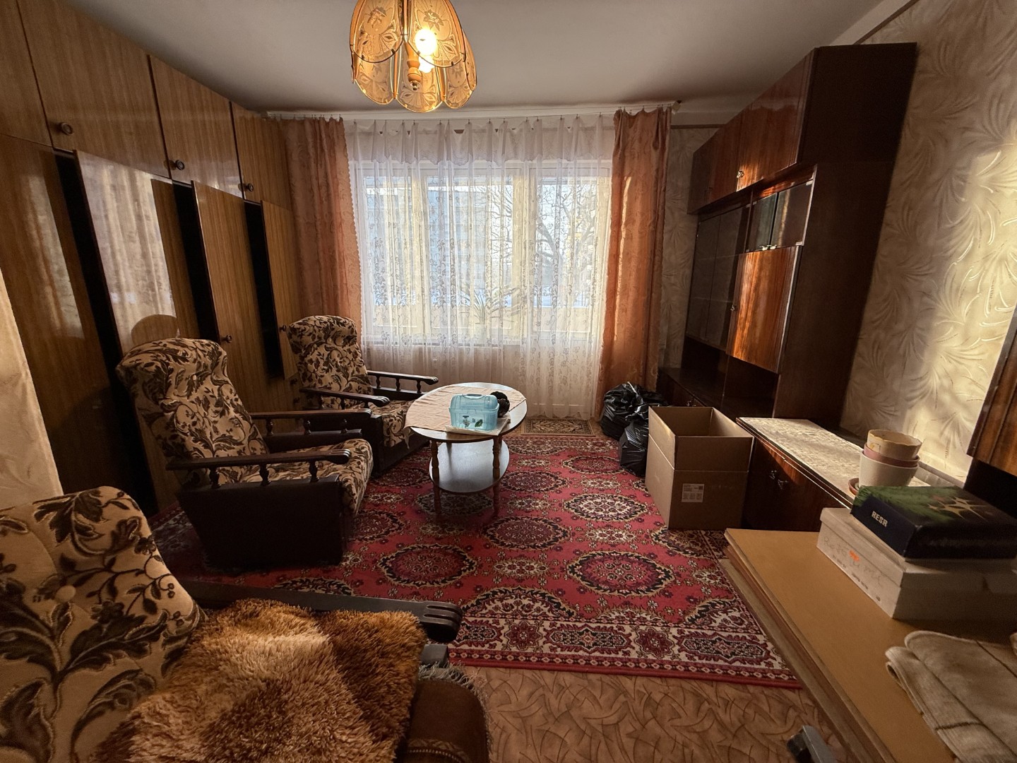 IMG_8192 1 Large.jpeg